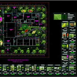 Bản vẽ thiết kế mẫu sân vườn
