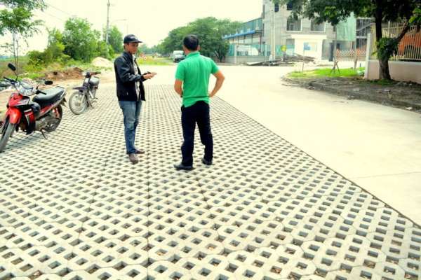 Trải đất và trồng hạt cỏ vào các lỗ rỗng