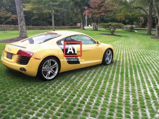 Gach Trong Co Bai Do Xe