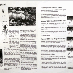 Biện pháp thi công chống mối (TM + BV)