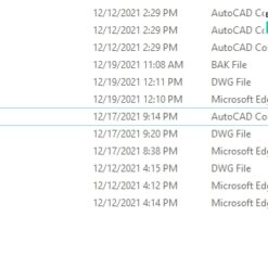 Alternative view of Bản vẽ biệt thự tân cổ điển 1 tầng 16.1x24.4m