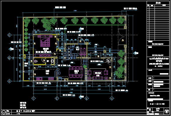 Biệt thự lâu đài 1